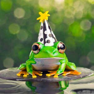 frog wearing a tiny black and white party hat with a yellow star on top