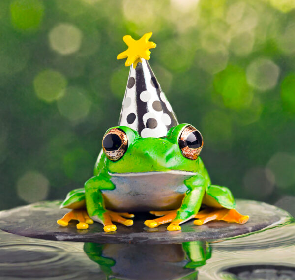 frog wearing a tiny black and white party hat with a yellow star on top