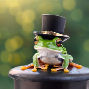 frog wearing a black and gold top hat