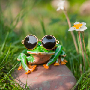 frog wearing black and gold sunglasses